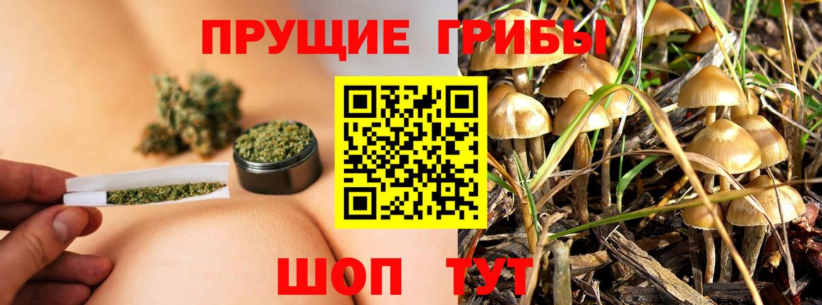Псилоцибиновые грибы Cubensis  Галлюциногенные грибы Magic Shrooms  наркошоп  Вход с VPN  Родники 